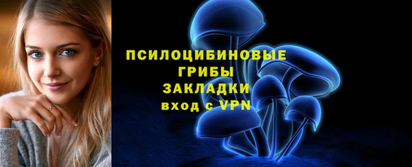 бутират Алзамай