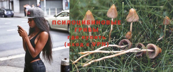 прущие крисы Алексин