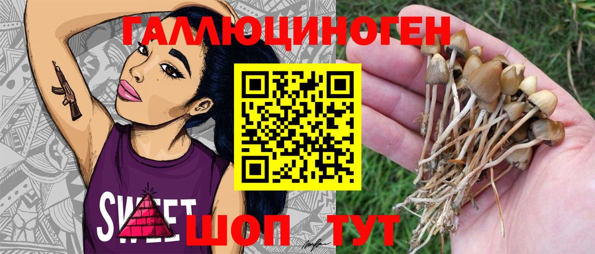 Галлюциногенные грибы Magic Shrooms  Вход с VPN  Уссурийск 