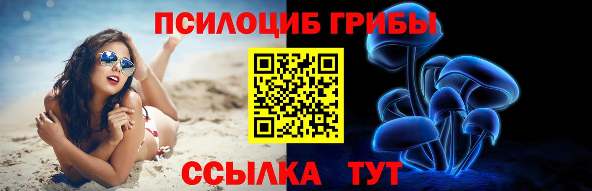 Галлюциногенные грибы Cubensis Уссурийск