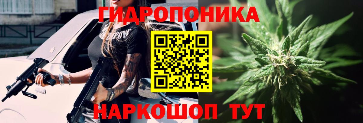 Уссурийск  Бошки марихуана планчик  Вход с VPN  Шишки марихуана тримм  Марихуана индика 